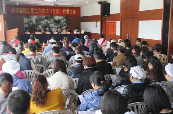 集团二届二次职工代表暨工会会员代表大会顺利召开